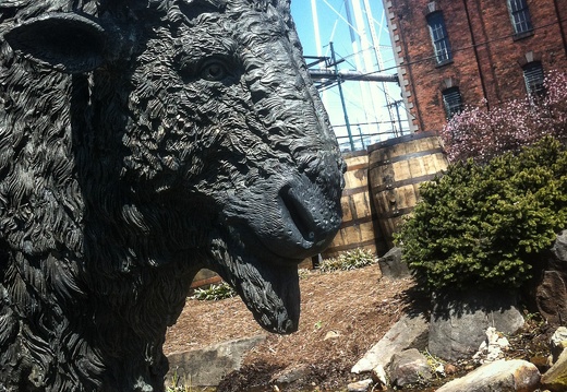 Buffalo Trace Distillery